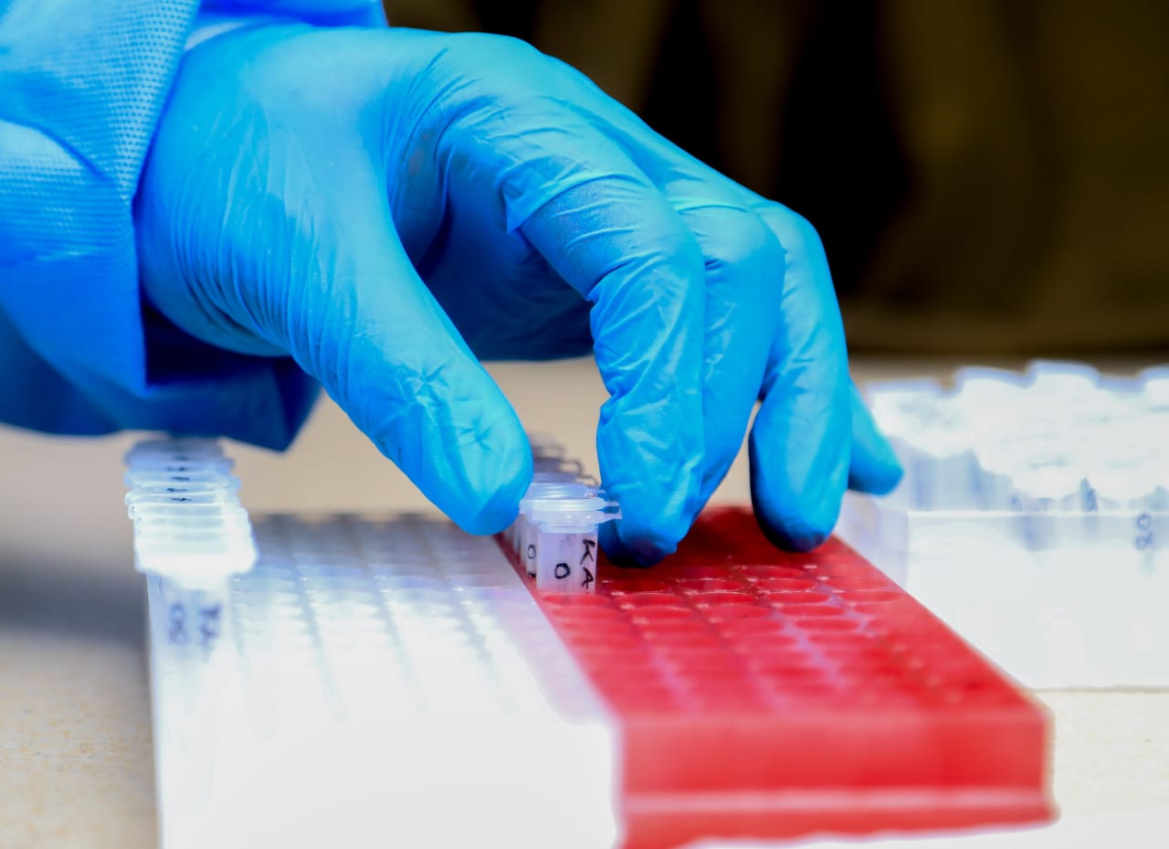 Promotion de la Santé